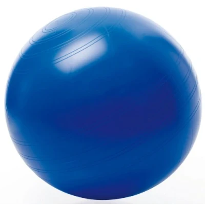Obrázek TOGU Gymnastický míč sedací ABS (ochrana proti vytrhání), 55 cm, modrý