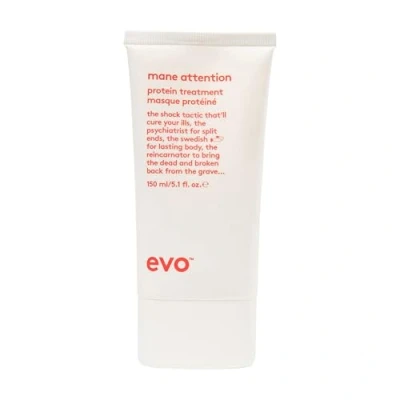 Obrázek EVO mane attention protein treatment, Intensive Haarcreme für kraftloses, brüchiges und coloriertes Haar, repariert behandelt geschädigtes, sprödes vegan, ohne Sulfate, 150 ml