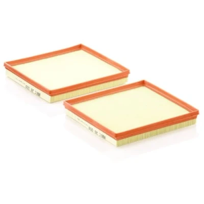 Obrázek MANN FILTER C 26 009 2 vzduchový filtr pro osobní automobily