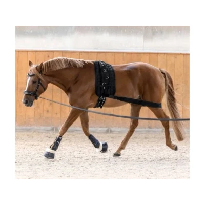 Obrázek Lonžovací popruh pod zadní nohy WALDHAUSEN black COB/FULL