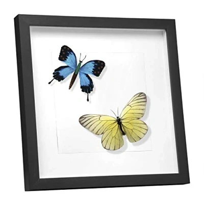 Obrázek EUGAD 3D fotorámeček k naplnění, rám objektu 20 x cm, hluboký pro objekty do 1,5 koláž s papírovou paspartou, černý
