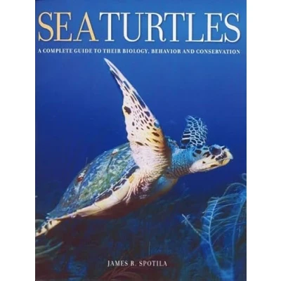 Obrázek Sea Turtles: A Complete Guide to Their Biology, Behavior, and Conservation