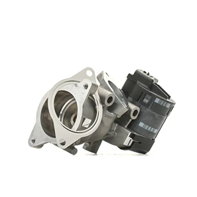 Obrázek Delphi EG10396 12B1 Agr pro ventil