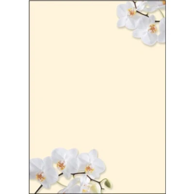 Obrázek SIGEL DP904 papír s motivem &quot;White Orchid&quot;, dopisní 90 g, DIN A4, 50 listů