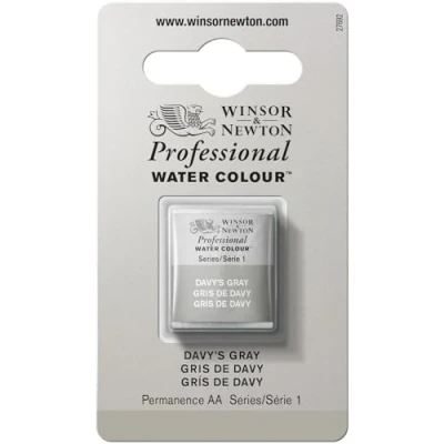 Obrázek Winsor &amp; Newton 0101217 profesionální akvarelová barva, živé vodní barvy v umělecké kvalitě, vysoká zářivost barev a svítivost, stálá na světle, archivní kvalita, 1/2 miska šedá (Davy&#039;s Grey)