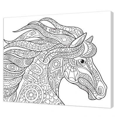 Obrázek Pintcolor 7162.0 Rahmen mit bedruckter Leinwand zum Ausmalen, Holz, weiß/schwarz, 50x40x3.5 cm