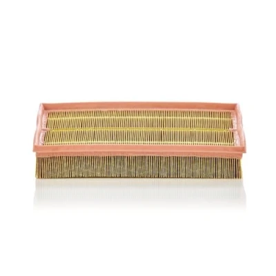 Obrázek MANN FILTER C 33 189 vzduchový filtr pro osobní automobily