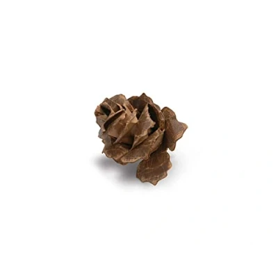 Obrázek Sizzix Jumbo Tattered Pincone Bigz Stanze