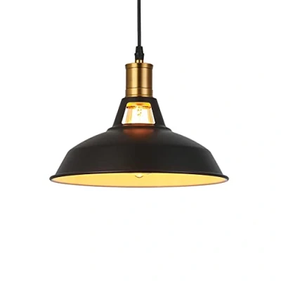 Obrázek MAXDUYU Retro závěsné svítidlo, závěsná lampa vintage industriální styl černé kovové stropní svítidlo E27 objímka do jídelny kuchyně restaurace, Ø 27 cm