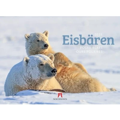 Obrázek Eisbären Kalender 2025, Wandkalender im Querformat (45x33 cm) Tierkalender