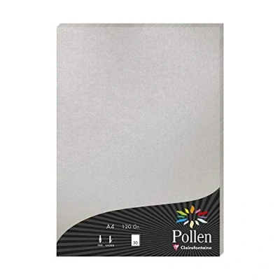 Obrázek Clairefontaine 4199C balení s 50 listy pylu, DIN A4, 210 x 297 mm, 120 g, stříbro
