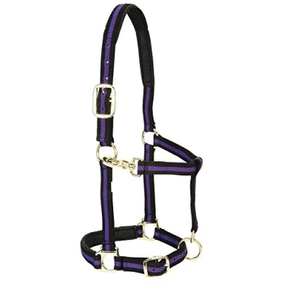Obrázek Weaver Leather Držák pro malé koně, polstrovaný, nylon, 2,5 cm, fialový