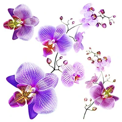 Obrázek orchideje obývací pokoj, kuchyně, samolepky na zeď, tetování zeď kancelář, ložnice, chodba dekorace od AG Design 30 x cm SS 3859