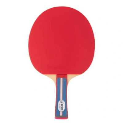 Obrázek GEWO Standard pro pálka na stolní tenis kontrolovaná začátečníky kompletní raketa s lion ITTF, vysoká kontrola a rychlost, konkávní rukojeť, 1,8 mm obložení