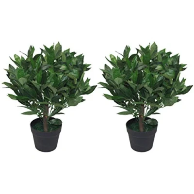 Obrázek Leaf Künstlicher Lorbeerbaum, 50 cm, 2 Stück