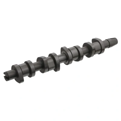 Obrázek febi bilstein 33193 vačková hřídel, 1 kus