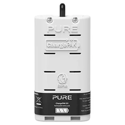 Obrázek Pure Nabíjecí akumulátor ChargePAK B1 pro sérii One Mini a Evoke D1/D2/H2/H3 (pro mobilní požitek z hudby, lithium iontová baterie, 4200 mAh, výdrž baterie 20 hodin)