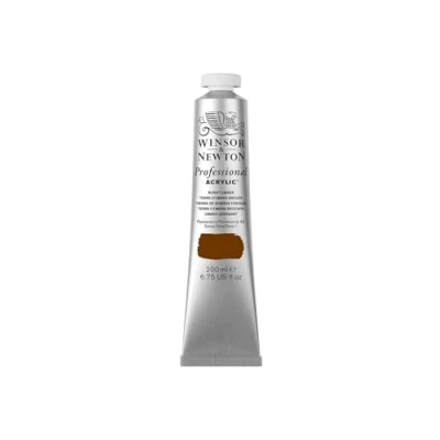 Obrázek Winsor &amp; Newton 2337076 profesionální akrylová barva v umělecké kvalitě, vysoká brilantnost barev a krycí síla, archivní kvalita, 200 ml tuba Umbra vypalovaná