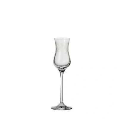 Obrázek Leonardo Chateau skleničky Grappa, 6dílná sada, digestifové sklenice vhodné do myčky nádobí, s taženou rukojetí, kalich rytinou, 9 cl, 035298