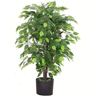 Obrázek Leaf Design UK umělá rostlina / rostlina, 90 cm, huňatý, černý plastový květináč