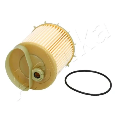 Obrázek Ashika 30 pro ECO081 Palivový filtr