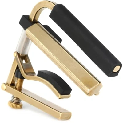 Obrázek Shubb C6B Dobro Capo Brass