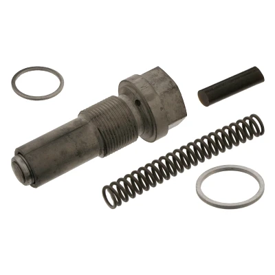 Obrázek febi bilstein 01440 řetězový napínák pro ovládací řetěz, s těsněním, 1 kus