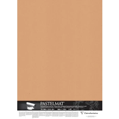 Obrázek Clairefontaine Balení 296012C (s 5 kreslicími archy pastelová mat, 70 x 100 cm, 360 g, ideální pro suché techniky a pastely) sienna