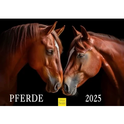 Obrázek Edition Seidel Prémiový kalendář koně 2025 formát DIN A3 nástěnný zvířata hříbě klisna hřebec Pony