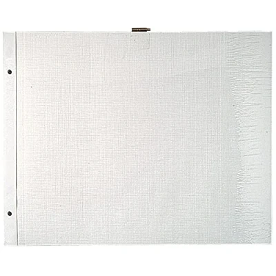 Obrázek Exacompta 16812E 10er Pack Einlagen für Fotoalben mit Schraubbindung im Format 29 x 37cm, weiß