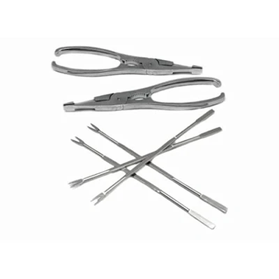 Obrázek NERTHUS FIH 259 Meeresfrüchte Tools Set, Edelstahl, Silber, 17 x 19 1.7 cm, 6