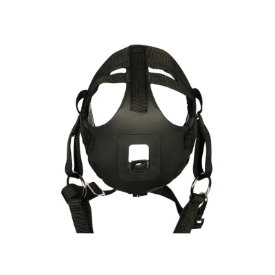 Obrázek Harry&#039;s Horse grazing muzzle air