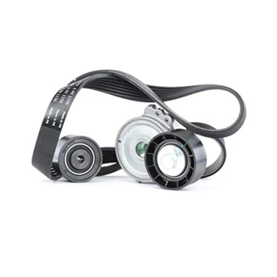 Obrázek SKF Vkma 33069 Spannrollen sada pro Kromě Pud