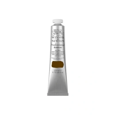 Obrázek Winsor &amp; Newton 2337554 profesionální akrylová barva v umělecké kvalitě, vysoká brilantnost barev a krycí síla, archivní kvalita, 200 ml tuba Umbra přírodní