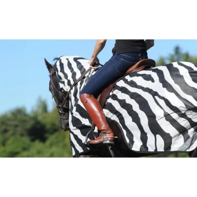 Obrázek Bucas Buzz Off Riding Zebra