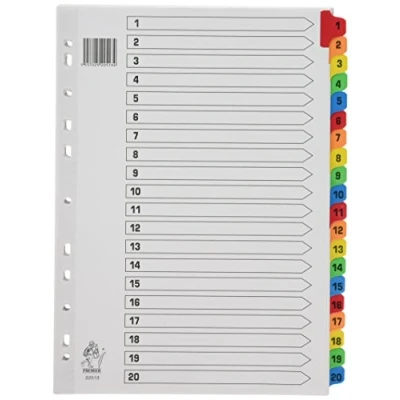Obrázek Rexel Mylar 1 20 rejstřík (DIN A4, zesílené tabule) bílý