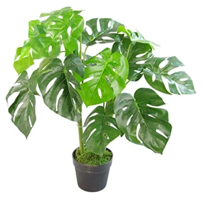 Obrázek LEAF Künstliche Pflanze mit Blättern, Schwarz, 80 cm Monstera, 80cm 7151