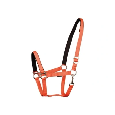 Obrázek Harry&#039;s Horse Padded Halter