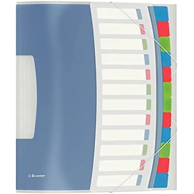 Obrázek Esselte 624030 pořadač VIVIDA, A4, PP, 12 přihrádek, vícebarevné