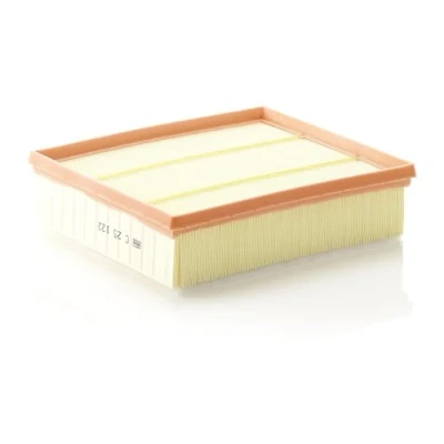 Obrázek MANN FILTER C 25 122 vzduchový filtr pro osobní automobily