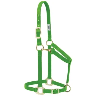 Obrázek Weaver Leather Originální nastavitelný ohlávka koně, nylon, středně velký kůň, zelený (Lime)