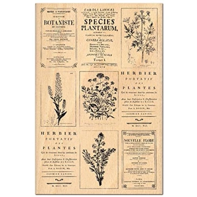 Obrázek Florilèges Design FHA112037 razítko Scrapbooking Herbier, béžová 15 x 10 2,5 cm