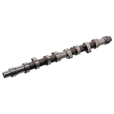 Obrázek febi bilstein 17068 vačková hřídel, 1 kus