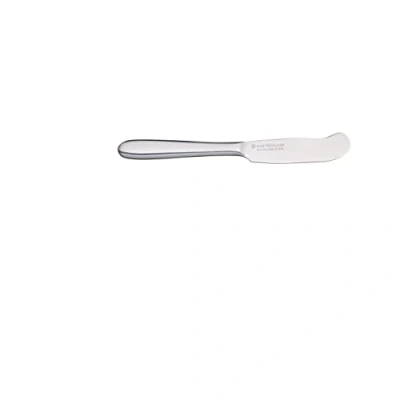 Obrázek Nůž na máslo MasterClass z nerezové oceli, 16 x 2 cm (6,2 0,8&#039;&#039;), stříbrný