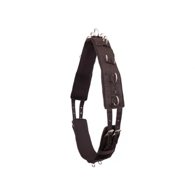 Obrázek Premiere Lunging Roller