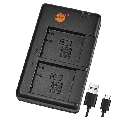 Obrázek DSTE Fast Charging USB Dual Batterie Ladegerät Compatible für Panasonic DMW BLE9,DMW BLG10,DMW BLH7,DMW BLH7E,DMC GM1,DMW BTC9,Panasonic Lumix DMC GF6,DMC LX100,DMC GM1D,DMC GM1KD,DMC GM1KW,DMC GM1S