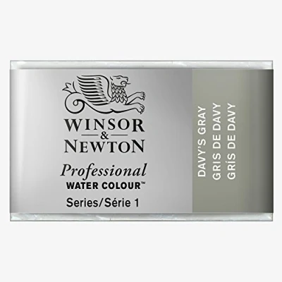 Obrázek Winsor &amp; Newton 0100217 profesionální akvarelová barva, živé vodní barvy v umělecké kvalitě, vysoká zářivost barev a svítivost, stálá na světle, archivní kvalita, celá miska šedá (Davy&#039;s Grey)