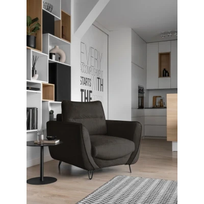 Obrázek Silva křeslo Materiál / Dekor: Nube 22