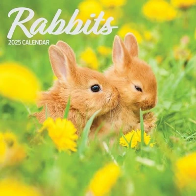 Obrázek Traditioneller Kalender für 2025 Kaninchen