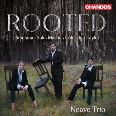 Obrázek Rooted
